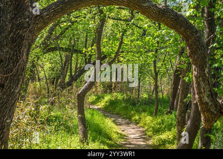 Jean-Pierre Choteau Nature Trail lungo il fiume Neosho (Grand) al Clinkenbeard Park a Fort Gibson, Oklahoma. (STATI UNITI) Foto Stock