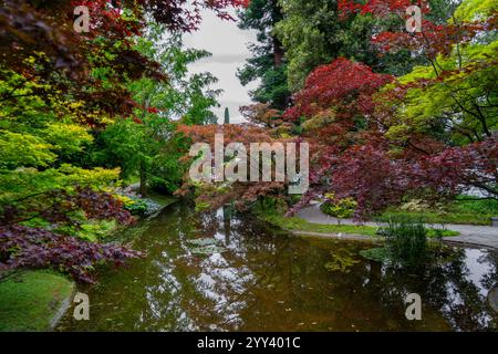 Un tranquillo giardino caratterizzato da vivaci foglie rosse, verdi e gialle che circondano un tranquillo laghetto riflettente. Gli alberi lussureggianti e i loro riflessi a specchio Foto Stock