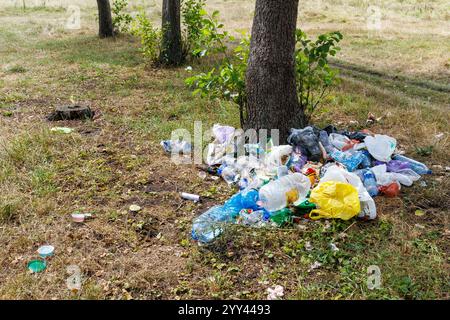 Un mucchio di rifiuti alimentari e altri rifiuti nella foresta. Ci sono molti rifiuti, sacchetti di plastica, imballaggi alimentari, bottiglie di plastica e vetro, ecc. sparsi Foto Stock