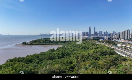 Shenzhen, provincia cinese del Guangdong. 29 novembre 2024. Una foto aerea di un drone mostra una vista della palude di mangrovie di Futian nella città di Shenzhen, nella provincia cinese del Guangdong, 29 novembre 2024. La Greater Bay area di Guangdong-Hong Kong-Macao vanta una grande distesa di mangrovie, specialmente a Shenzhen, Zhuhai, Jiangmen e Huizhou. Coltivate nelle zone intertidali delle coste tropicali e subtropicali, le mangrovie svolgono un ruolo importante nella depurazione dell'acqua di mare, nella prevenzione del vento e delle onde, nel sequestro e nello stoccaggio del carbonio e nel mantenimento della biodiversità. Crediti: Liang Xu/Xinhua/Alamy Live News Foto Stock