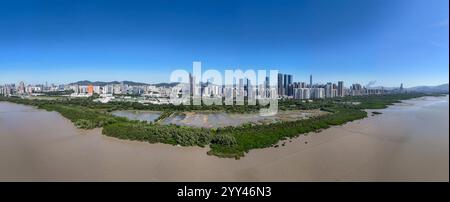 Shenzhen, provincia cinese del Guangdong. 29 novembre 2024. Una foto aerea con un drone mostra una vista panoramica della zona umida di mangrovie di Futian nella città di Shenzhen, nella provincia cinese del Guangdong, 29 novembre 2024. La Greater Bay area di Guangdong-Hong Kong-Macao vanta una grande distesa di mangrovie, specialmente a Shenzhen, Zhuhai, Jiangmen e Huizhou. Coltivate nelle zone intertidali delle coste tropicali e subtropicali, le mangrovie svolgono un ruolo importante nella depurazione dell'acqua di mare, nella prevenzione del vento e delle onde, nel sequestro e nello stoccaggio del carbonio e nel mantenimento della biodiversità. Crediti: Liang Xu/Xinhua/Alamy Live News Foto Stock