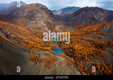 Paesaggio aereo di montagne panoramiche durante l'autunno, con foresta colorata e lago blu. Foto Stock