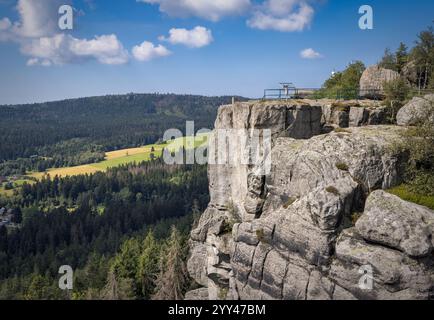 Esplora le scogliere mozzafiato di Szczeliniec Wielki mentre ti godi la tranquillità della natura. Polonia Foto Stock