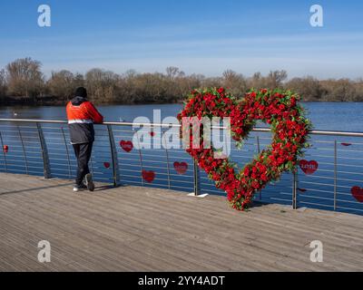 Rose rosse a forma di cuore gigante per San Valentino sulla passerella del centro commerciale Rusden Lakes, Northamptonshire, Regno Unito; con uomo in giacca rossa Foto Stock