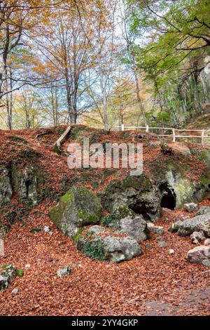 Una pittoresca foresta autunnale presenta un vivace fogliame autunnale e un sentiero ricoperto di foglie. Una piccola entrata nella grotta annidata tra rocce ricoperte di muschio aggiunge un Foto Stock