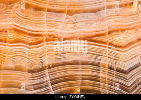 Un dettagliato primo piano di onice arancione rivela i suoi strati intricati e i motivi naturali, mostrando la bellezza di questa splendida formazione minerale, ideale Foto Stock