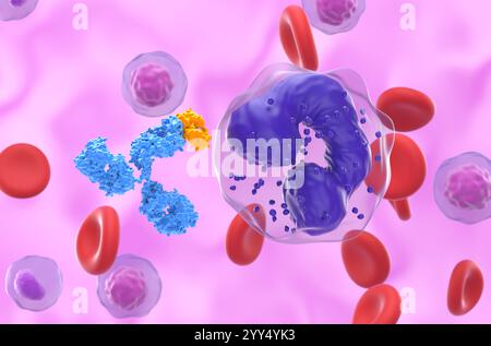 Terapia con anticorpi monoclonali nella leucemia mielogena cronica (LMC) - Vista ravvicinata illustrazione 3d. Foto Stock