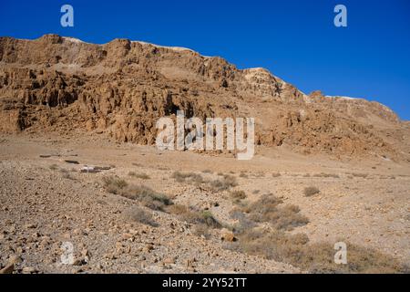 Grotta n. 1 prima scoperta Grotte nella scogliera di Marl presso il sito archeologico di Qumran sulla riva del Mar morto, in Cisgiordania, Israele, il sito di Qumran Foto Stock