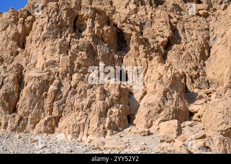 Grotte nella scogliera di Marl presso il sito archeologico di Qumran sulla riva del Mar morto, in Cisgiordania, Israele il sito di Qumran è meglio conosciuto come il settl Foto Stock