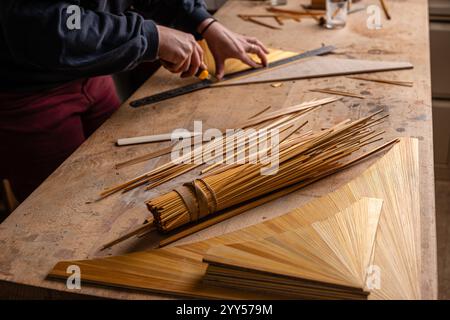 Ammonite Création Design a Troyes (Francia nord-orientale): Ebanisti, creatori di oggetti e mobili e designer. Intarsiatura di paglia, arte e cr Foto Stock