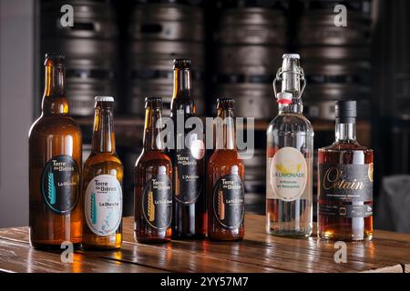Birrificio artigianale nella provincia di Beaujolais (Francia centro-orientale): Bottiglie di birra Terre de Bière, birrificio a Villefranche-sur-Saône Foto Stock