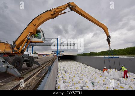 Sacchi di fertilizzante caricati su chiatte al porto di Mulhouse Ottmarsheim sul Canal grande dell'Alsazia, che corre parallelo al Reno. Sfuso c Foto Stock