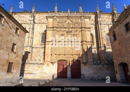 Facciata storica dell'Università di Salamanca al tramonto nella città vecchia, Castilla y Leon, Spagna. Foto Stock