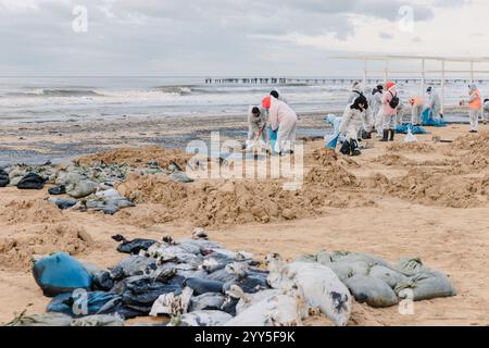 19 dicembre 2024. Anapa, Russia. Volontari che puliscono la spiaggia dell'oceano dal petrolio dopo un relitto di una petroliera. Catastrofe ecologica Foto Stock