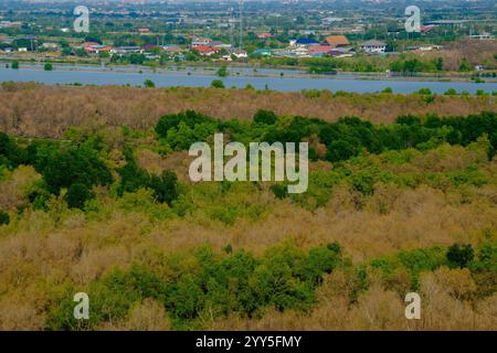 Una vivace fotografia aerea che mostra una lussureggiante foresta di mangrovie con aree urbane contrastanti sullo sfondo. Cattura l'equilibrio tra natura e. Foto Stock