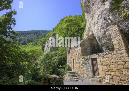 Luogo tra le rocce nella Gola del Tarn, Gorges du Tarn Causses, Castelbouc, Departement Lozere, Francia, Europa Foto Stock