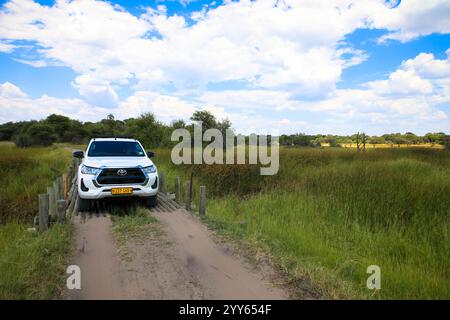 Guida fuoristrada di un'auto a noleggio su una strada sterrata, un percorso 4x4 in un paesaggio desertico sabbioso in Namibia. Toyota Hilux SUV 4x4 fuoristrada. 3 marzo, 20 Foto Stock