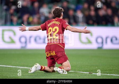 Elche, Spagna. 19 dicembre 2024. ELCHE, SPAGNA - 19 DICEMBRE: Pablo Rodriguez secondo attaccante del Racing Club de Santander reagisce durante il LaLiga Hypermotion match tra Elche CF e Racing Club de Santander allo stadio Manuel Martinez Valero il 19 dicembre 2024 a Elche, Spagna. (Foto di Francisco Macia/Photo Players Images/Magara Press) crediti: Magara Press SL/Alamy Live News Foto Stock