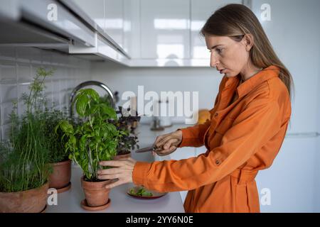 Potare piante con forbici, giardinaggio a casa. Donna tagliò le foglie di basilico verde in eccesso Foto Stock