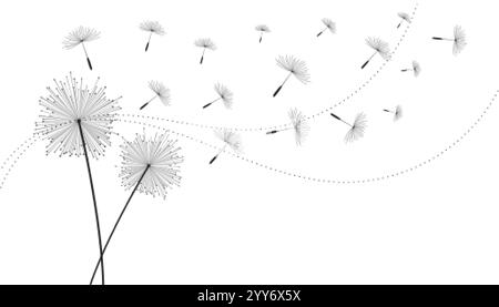 flying dente di leone semi fiore sfondo Illustrazione Vettoriale