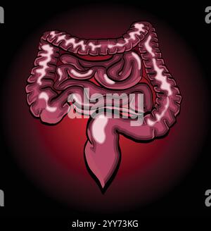 Intestini umani che mostrano intestino tenue e crasso e appendice Illustrazione Vettoriale