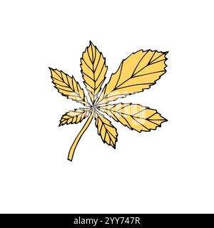 Disegno vettoriale disegnato a mano con una foglia di castagno colorata isolata su sfondo bianco Illustrazione Vettoriale