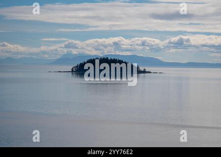 Splendida e tranquilla scena di una piccola isola con un'iconica foresta sempreverde di maestosi alberi di abete rosso e catena montuosa sul mare in Alaska. Foto Stock