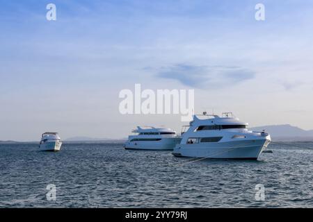 Una tranquilla scena costiera caratterizzata da yacht di lusso ancorati in tranquille acque blu sotto un cielo limpido, che evocano un senso di relax e avventura. ideale Foto Stock