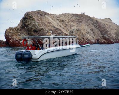 Il birdwatching è un popolare tour in barca a Islas Ballestas, riserva nazionale di Paracas in Perù Foto Stock