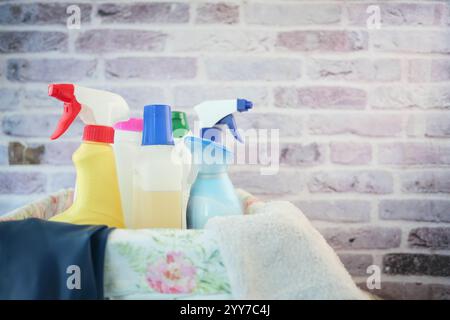 Un'ampia gamma di materiali di consumo per la pulizia disposti in modo ordinato in un cestello per l'uso Foto Stock