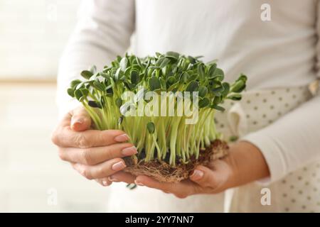 Donna che tiene freschi micro germogli verdi, primo piano Foto Stock