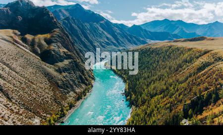 Splendida vista aerea che cattura il turchese fiume katun che si snoda attraverso le vibranti foreste autunnali e le suggestive valli dei monti altai in siberia, russia Foto Stock