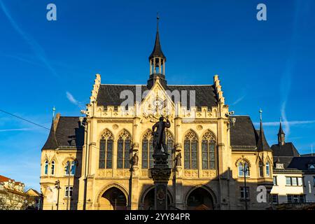 DAS Erfurter Rathaus am Fischmarkt a Erfurt, Thüringen, Deutschland | municipio di Erfurt sulla piazza del mercato ittico Fischmarkt a Erfurt , Turingia, Germ Foto Stock
