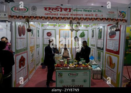 Rajkot, Gujarat, India. 20 dicembre 2024. World Expo 2024, Ellora Stall. Crediti: Nasirkhan Davi/Alamy Live News Foto Stock