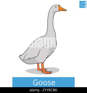 Goose impara gli uccelli vettore di gioco educativo Illustrazione Vettoriale