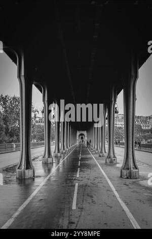 Esplorando l'atmosfera parigina da Pont de Bir-Hakeim, dove ogni angolo racconta una storia attraverso la sua architettura senza tempo e la vivace vita cittadina Foto Stock