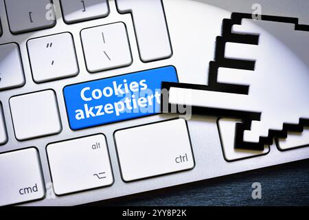 FOTOMONTAGE, Computertaste mit der Aufschrift Cookies akzeptiert Foto Stock