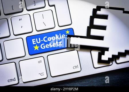 FOTOMONTAGE, Computertaste mit der Aufschrift EU-Cookie-Gesetz **** FOTOMONTAGE, pulsante computer con iscrizione EU Cookie Law Foto Stock