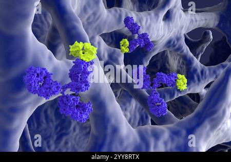 Terapia con anticorpi monoclonali nell'osteoporosi - Vista ravvicinata illustrazione 3d. Foto Stock