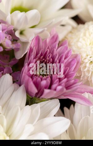 un sacco di fiori bianchi per un regalo, diversi fiori bianchi e altri combinati in un bellissimo bouquet da vicino Foto Stock