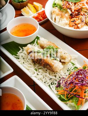 Un vivace assortimento di cucina tradizionale vietnamita con pho, involtini primavera, polpettine fritte, insalate fresche, salse da immersione, e un pandan verde Foto Stock