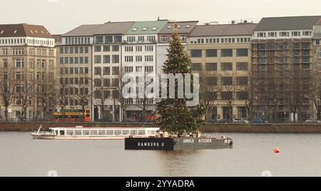 Die beleuchtete Alstertanne auf der Binnenalster un einem regnerischen Nachmittag. Altstadt Hamburg *** l'abete di Alster illuminato sull'Alster interno in un pomeriggio piovoso nella città vecchia di Amburgo Foto Stock