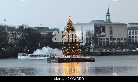 Die beleuchtete Alstertanne auf der Binnenalster un einem regnerischen Nachmittag. Altstadt Hamburg *** l'abete di Alster illuminato sull'Alster interno in un pomeriggio piovoso nella città vecchia di Amburgo Foto Stock