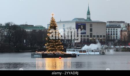 Die beleuchtete Alstertanne auf der Binnenalster un einem regnerischen Nachmittag. Altstadt Hamburg *** l'abete di Alster illuminato sull'Alster interno in un pomeriggio piovoso nella città vecchia di Amburgo Foto Stock