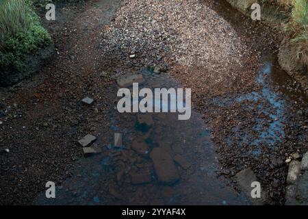 Macchie di petrolio sulla superficie inquinata del fiume, che evidenziano le sfide ambientali ed ecologiche Foto Stock