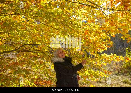 Anziana donna sorridente sta posando all'ombra di un albero autunnale giallo brillante a Skhidnytsia, Ucraina occidentale. Foto Stock