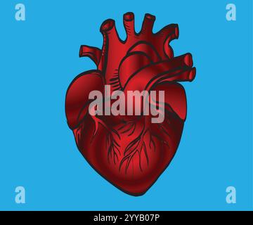 Cuore rosso anatomico realistico che batte su sfondo scuro Illustrazione Vettoriale