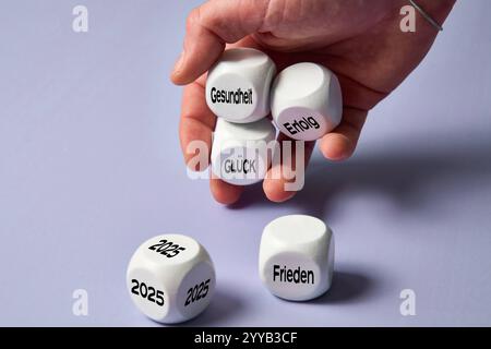 Baviera, Germania - 20 dicembre 2024: Una mano tiene i cubi bianchi con le iscrizioni salute, successo e felicità, mentre un altro cubo con il numero 2025 per Capodanno e Pace è sul terreno. Questa immagine simboleggia i desideri positivi del nuovo anno e trasmette speranza e ottimismo per l'inizio dell'anno. Perfetto per i saluti di Capodanno e i messaggi di Capodanno. FOTOMONTAGGIO *** Eine hand hält weiße Würfel mit den Aufschriften Gesundheit, Erfolg und Glück, während ein weiterer Würfel mit der Zahl 2025 für Neujahr und Frieden am Boden liegt. Dieses Bild Symbolisiert pos Foto Stock