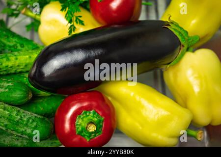 Un vivace assortimento di verdure fresche include melanzane lucide, peperoni gialli, peperoni rossi, cetrioli ed erbe fresche, mostra il Foto Stock