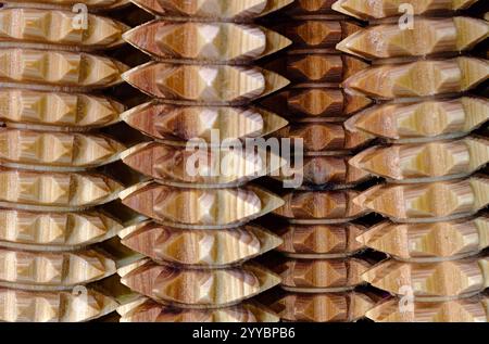 Ampio gruppo di cilindri in legno a denti, massaggiatori manuali per il corpo Foto Stock